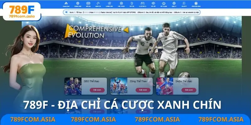Nên chơi tài xỉu bóng đá tại nhà cái uy tín